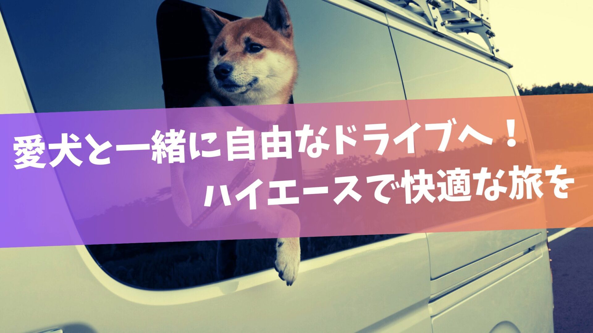 愛犬と一緒に、もっと自由なドライブへ！ハイエースで快適な旅を。